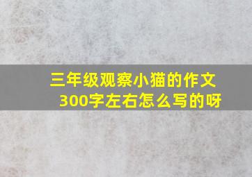 三年级观察小猫的作文300字左右怎么写的呀