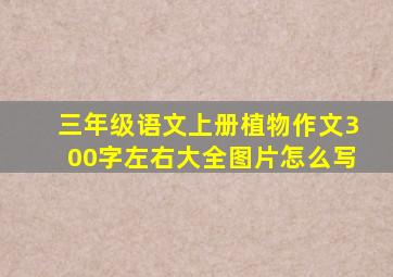 三年级语文上册植物作文300字左右大全图片怎么写