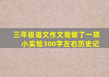 三年级语文作文我做了一项小实验300字左右历史记