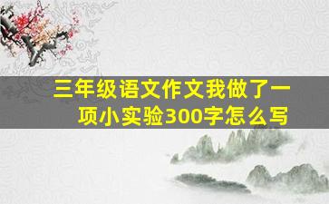 三年级语文作文我做了一项小实验300字怎么写