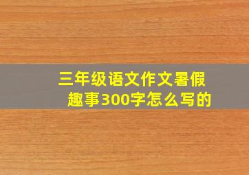 三年级语文作文暑假趣事300字怎么写的