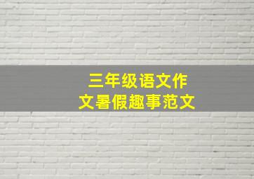 三年级语文作文暑假趣事范文