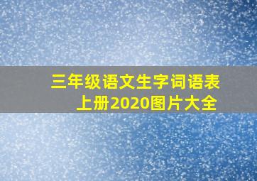 三年级语文生字词语表上册2020图片大全