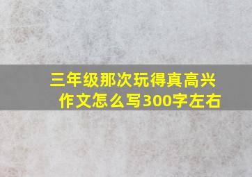 三年级那次玩得真高兴作文怎么写300字左右