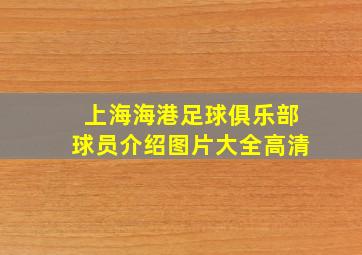 上海海港足球俱乐部球员介绍图片大全高清