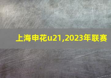 上海申花u21,2023年联赛