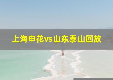 上海申花vs山东泰山回放