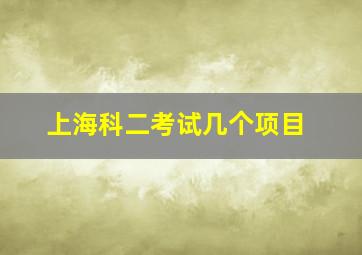 上海科二考试几个项目