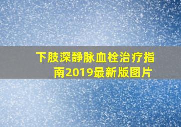 下肢深静脉血栓治疗指南2019最新版图片