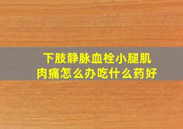 下肢静脉血栓小腿肌肉痛怎么办吃什么药好