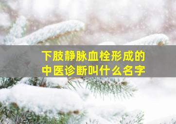 下肢静脉血栓形成的中医诊断叫什么名字