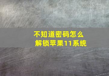 不知道密码怎么解锁苹果11系统