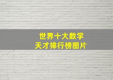 世界十大数学天才排行榜图片