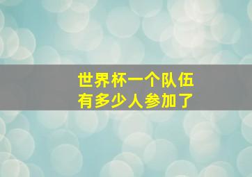 世界杯一个队伍有多少人参加了