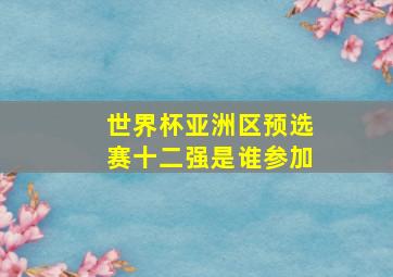 世界杯亚洲区预选赛十二强是谁参加