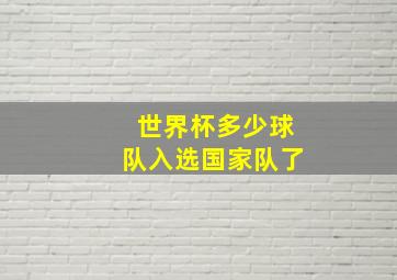 世界杯多少球队入选国家队了