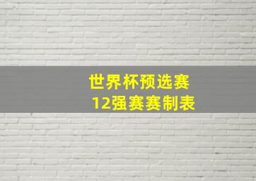 世界杯预选赛12强赛赛制表