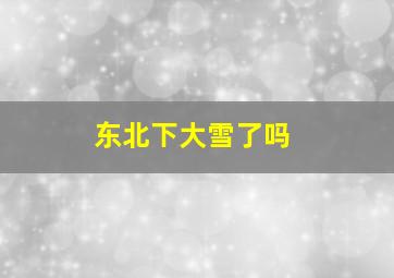 东北下大雪了吗