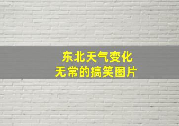 东北天气变化无常的搞笑图片