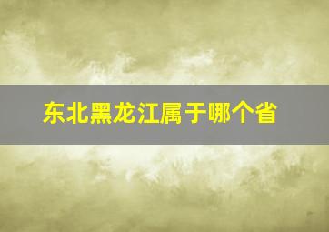 东北黑龙江属于哪个省