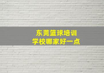 东莞篮球培训学校哪家好一点