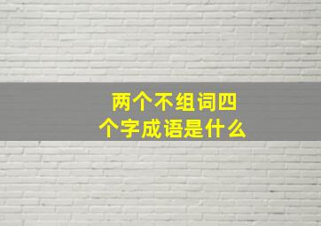 两个不组词四个字成语是什么