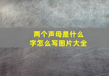 两个声母是什么字怎么写图片大全