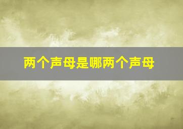 两个声母是哪两个声母