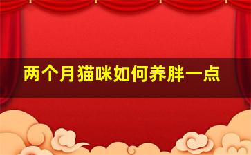 两个月猫咪如何养胖一点