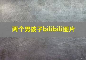 两个男孩子bilibili图片