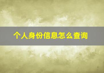 个人身份信息怎么查询