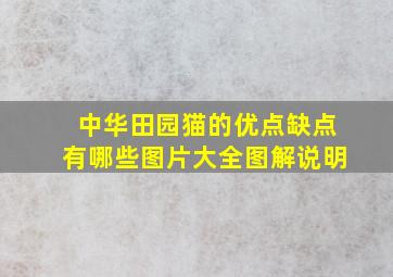 中华田园猫的优点缺点有哪些图片大全图解说明