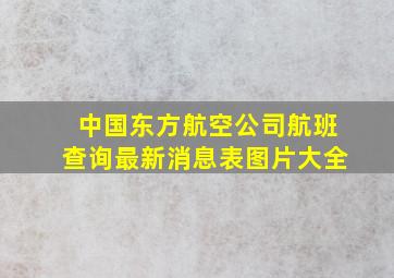 中国东方航空公司航班查询最新消息表图片大全