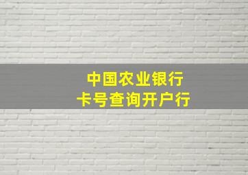 中国农业银行卡号查询开户行