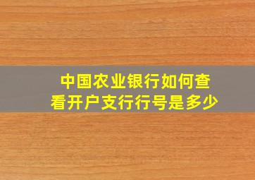 中国农业银行如何查看开户支行行号是多少