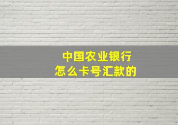 中国农业银行怎么卡号汇款的