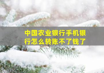 中国农业银行手机银行怎么转账不了钱了