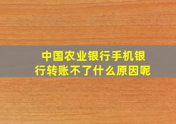 中国农业银行手机银行转账不了什么原因呢