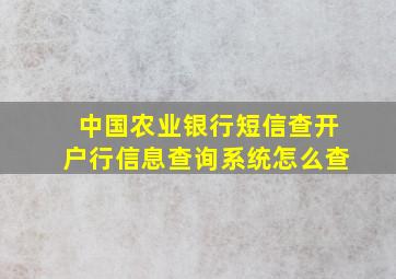 中国农业银行短信查开户行信息查询系统怎么查