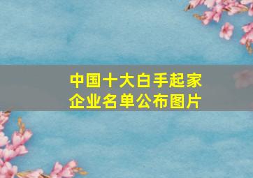 中国十大白手起家企业名单公布图片