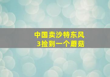 中国卖沙特东风3捡到一个蘑菇