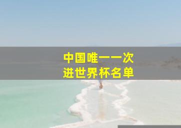 中国唯一一次进世界杯名单