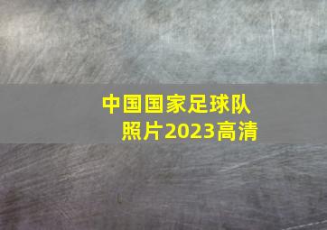 中国国家足球队照片2023高清