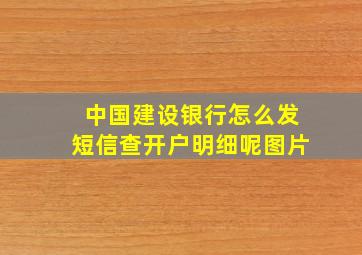 中国建设银行怎么发短信查开户明细呢图片