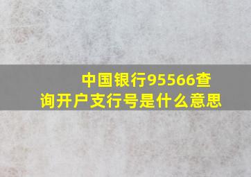 中国银行95566查询开户支行号是什么意思