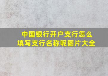 中国银行开户支行怎么填写支行名称呢图片大全