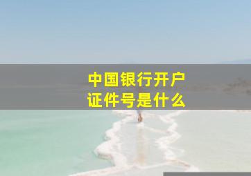 中国银行开户证件号是什么