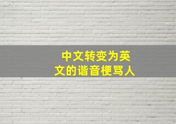 中文转变为英文的谐音梗骂人