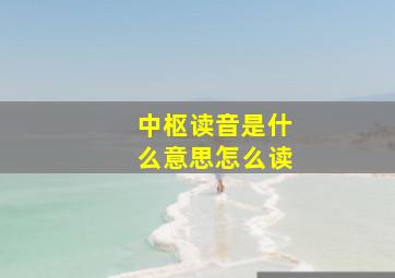 中枢读音是什么意思怎么读