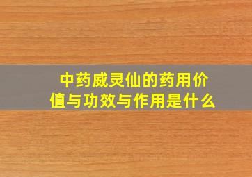 中药威灵仙的药用价值与功效与作用是什么